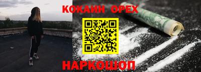 дмт Бердск