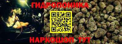 молекула духа Боровичи