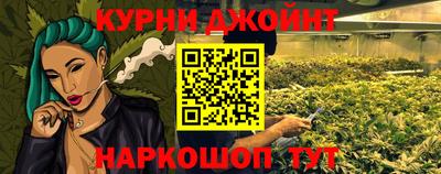 дмт Бердск