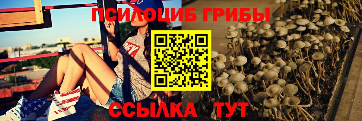 Галлюциногенные грибы Magic Shrooms Реутов