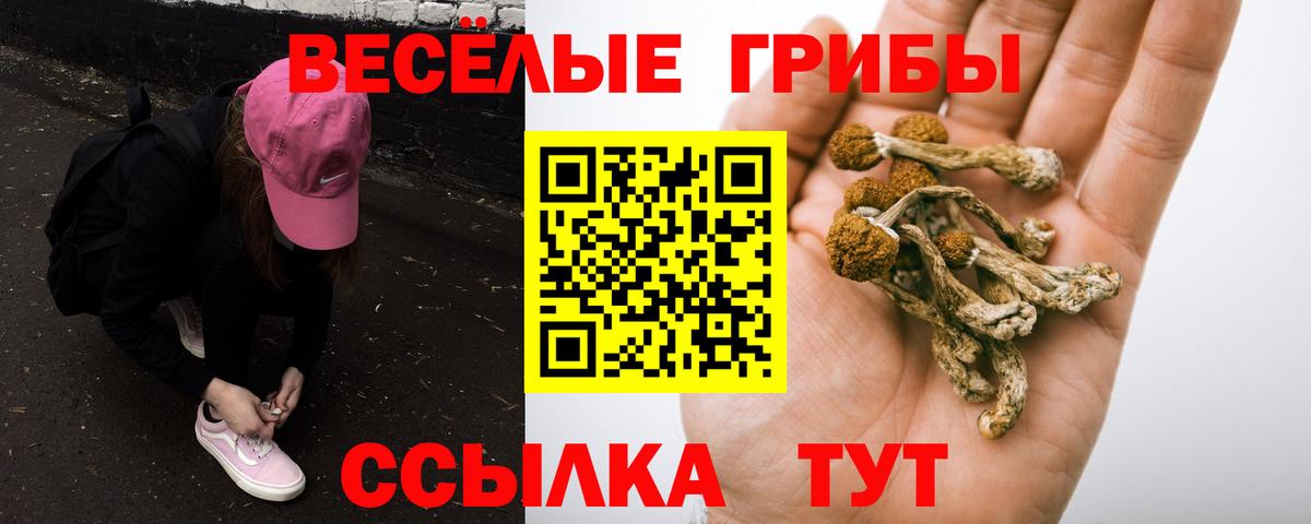закладка  Галлюциногенные грибы мицелий  Вход с VPN  Реутов 